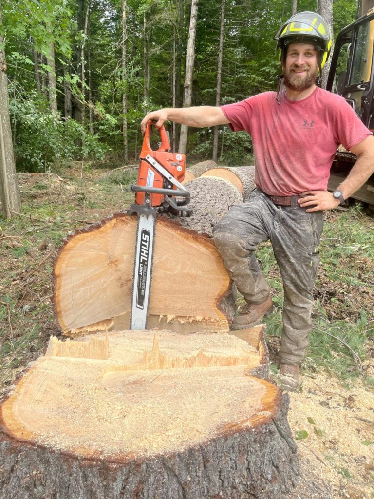 Arborists in Montpelier, VT