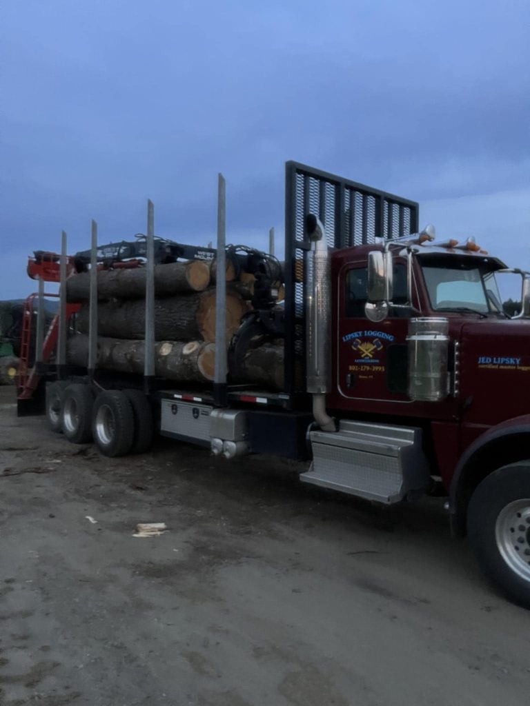Professional tree service in Montpelier, Vermont